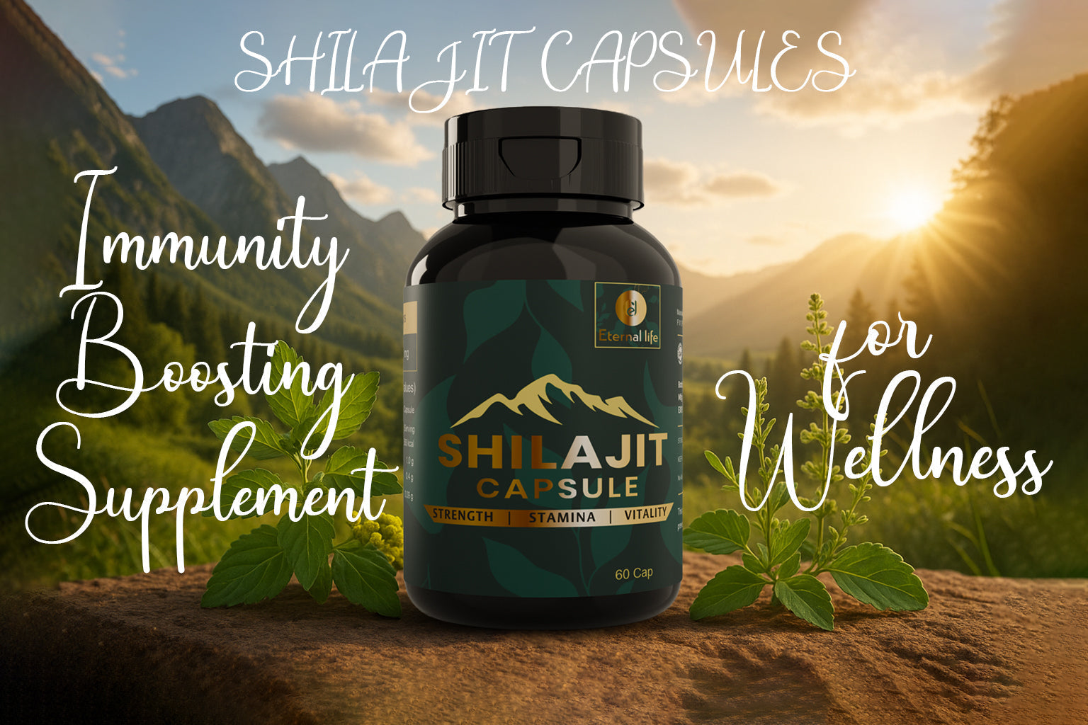 Shilajit Capsules – Immunity Boosting Supplement for Wellness