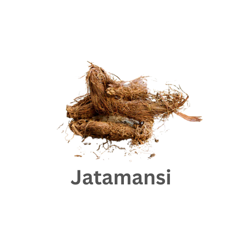 ब्रांड लोगो