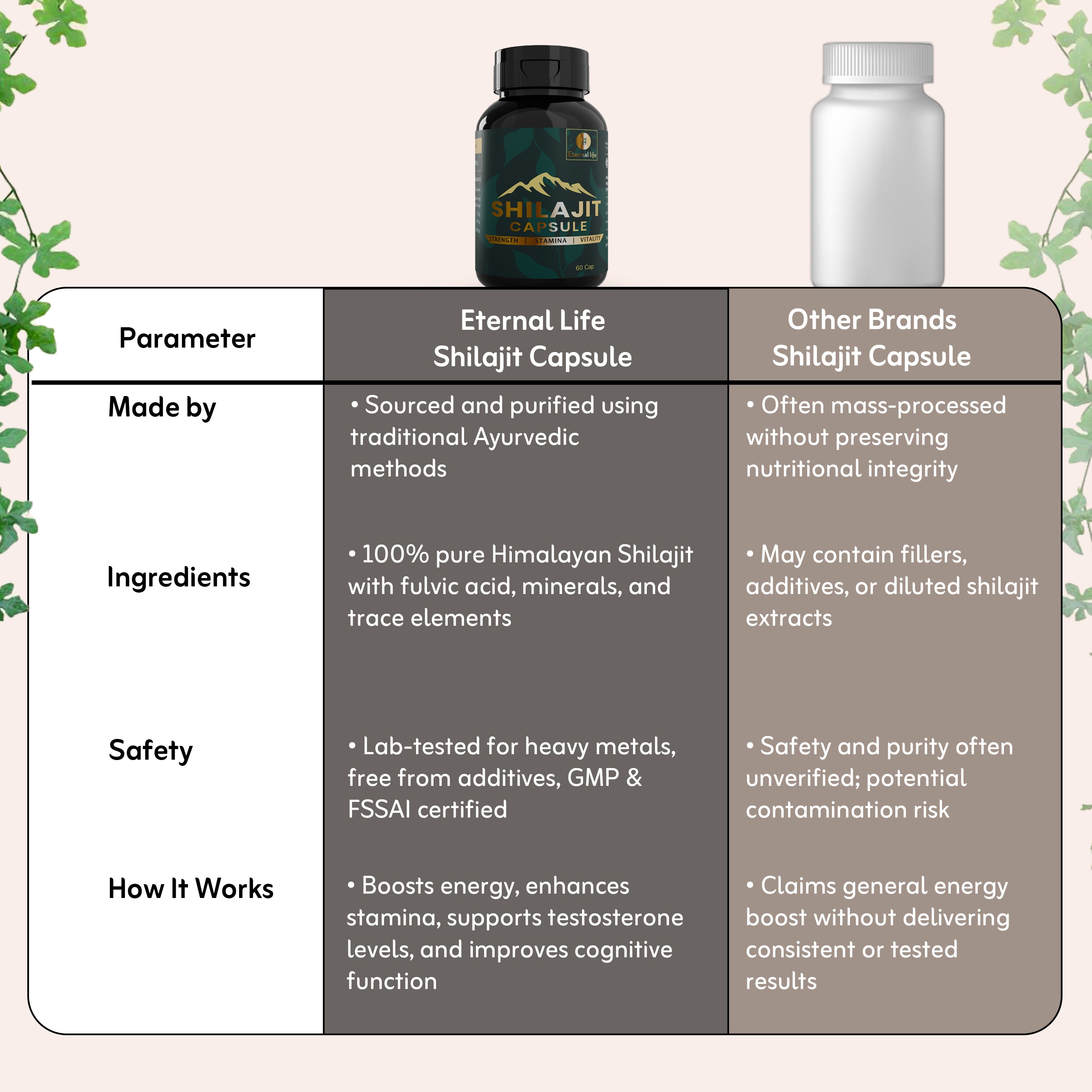 eternal life shilajit capsules