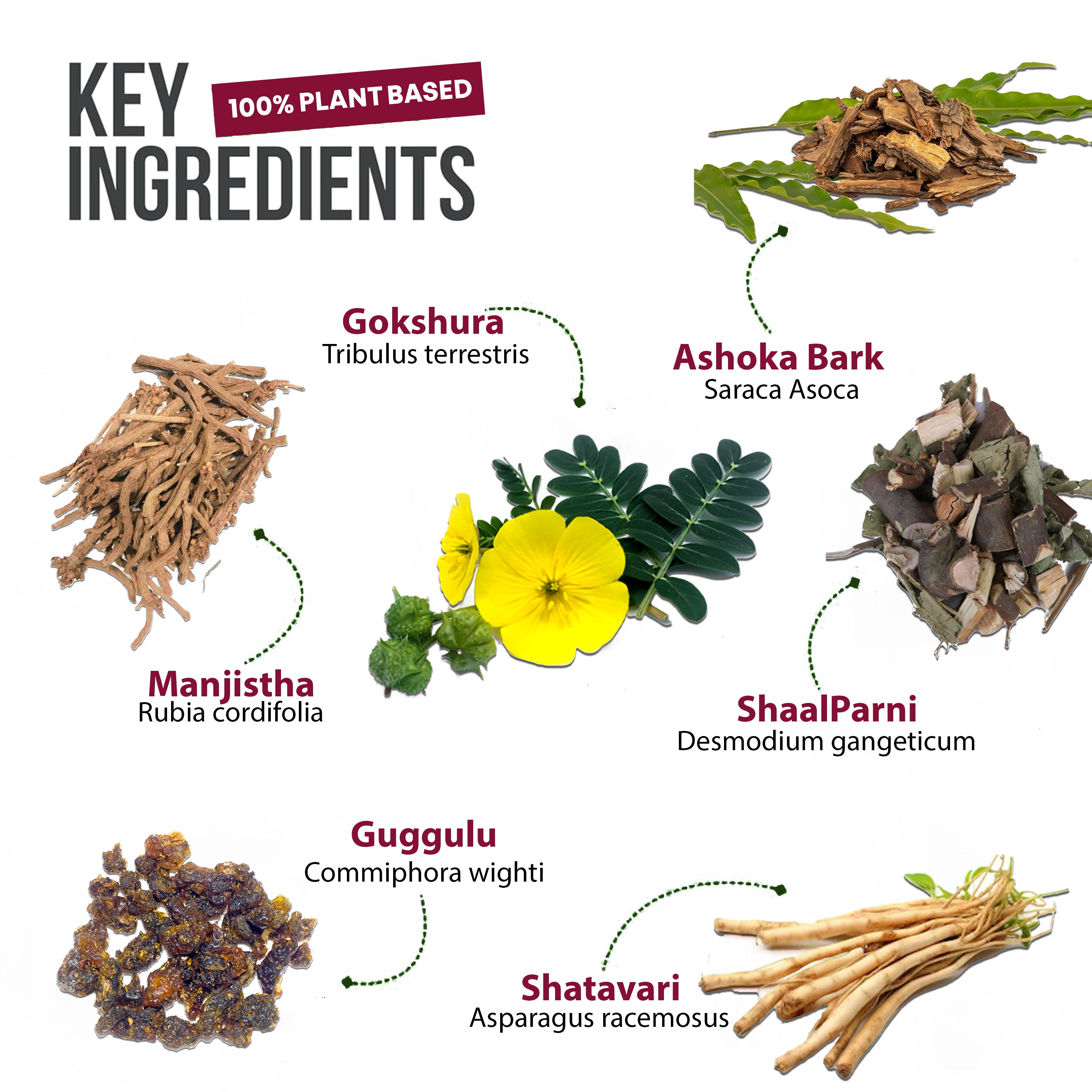 key_ingredient