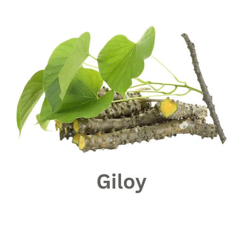 ब्रांड लोगो