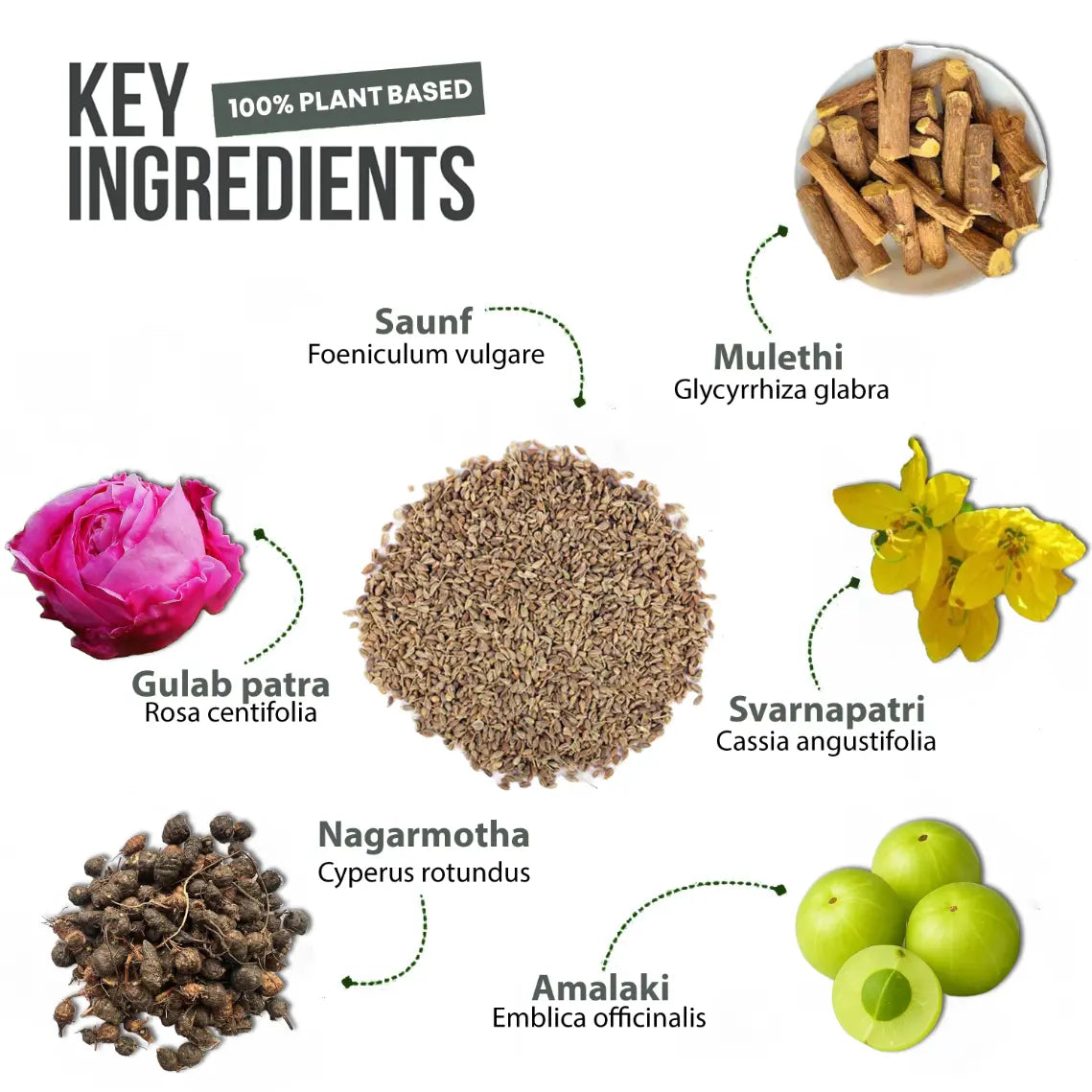 Eterno Pile for Hemorrhoid Prevention and Pain Relief (100 GM)