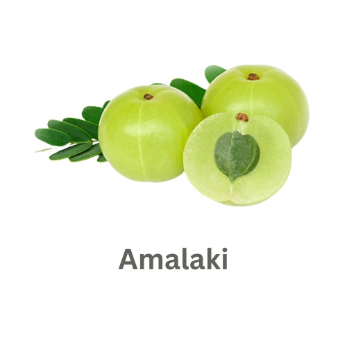 ब्रांड लोगो