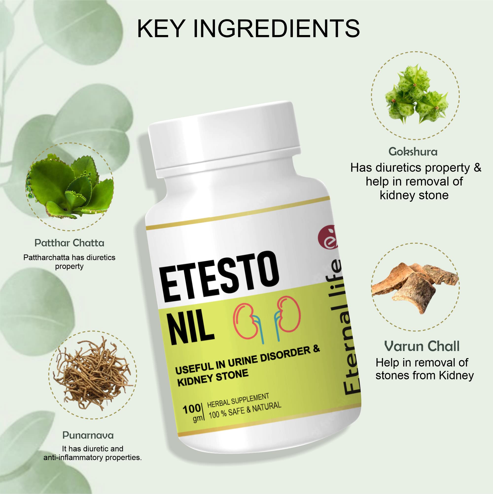 Eternal Life Etesto Nil for Kidney & Prostate Health