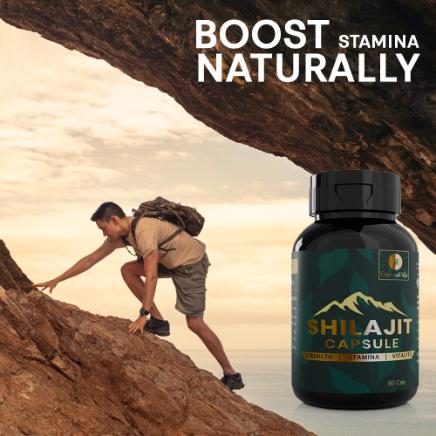 Shilajit Capsules – Shilajit Resin For Immune System Boosters (60 capsules)