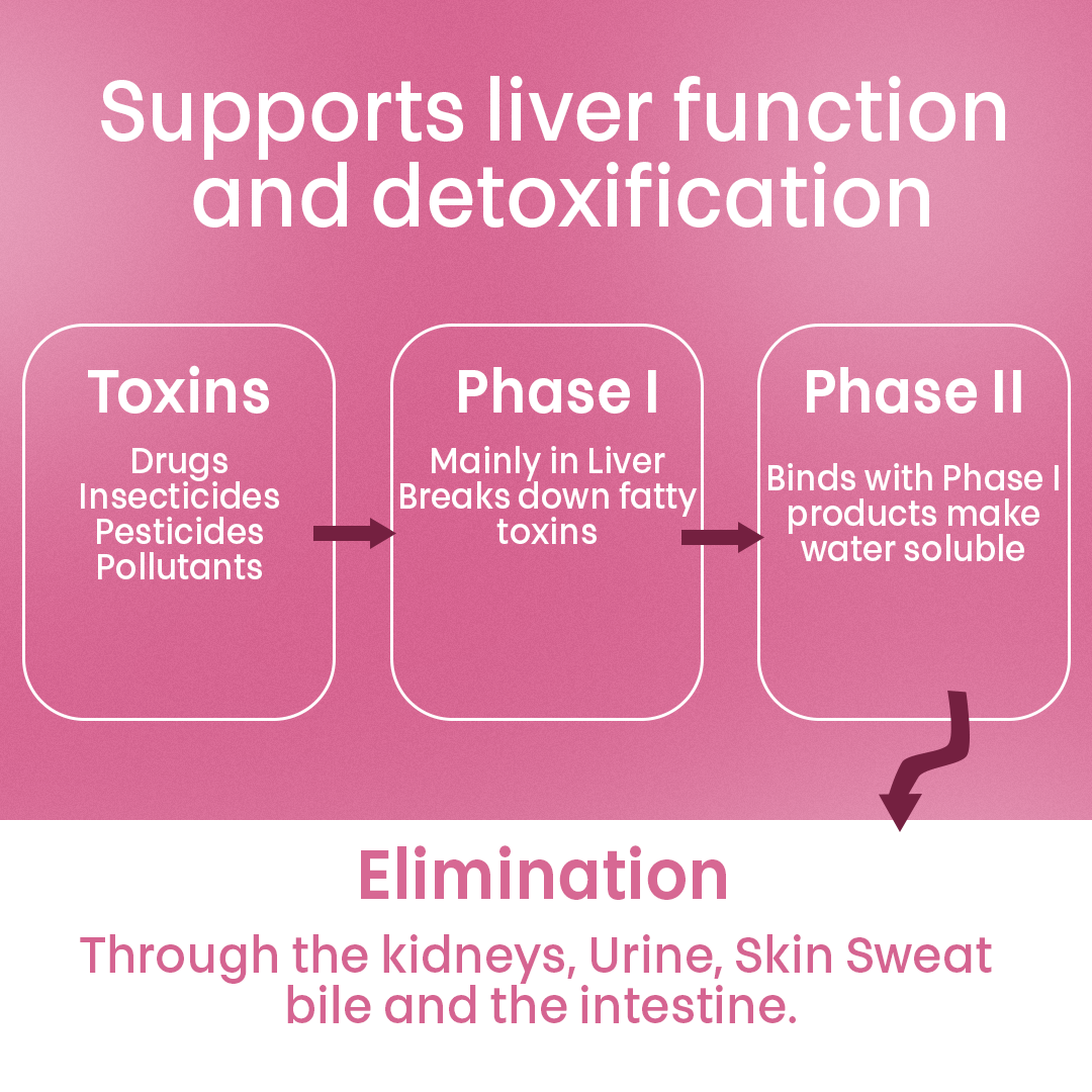 Livo Max syrup