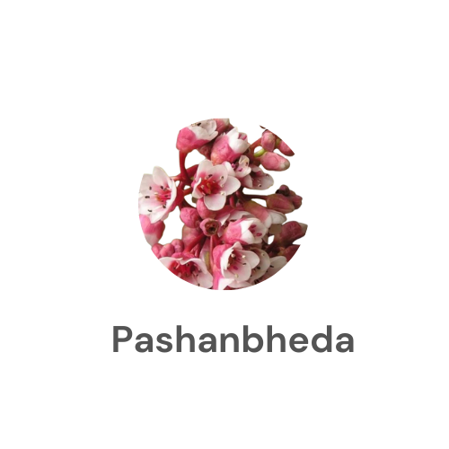ब्रांड लोगो