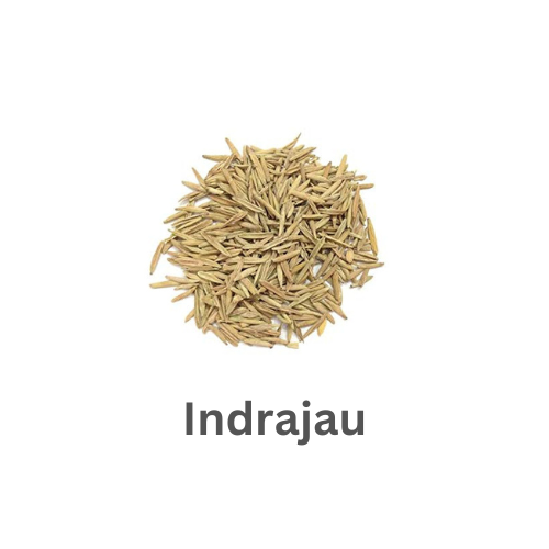 ब्रांड लोगो