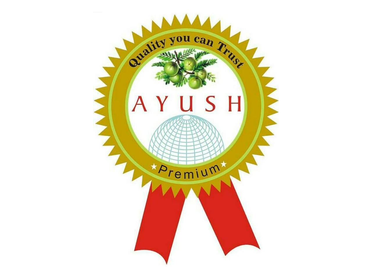  ayush 