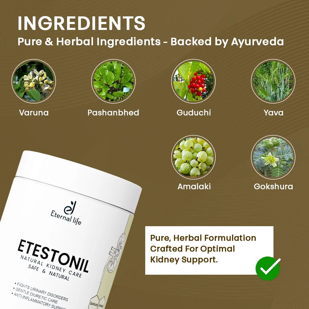 Etesto Nil  Powder – Relief for Kidney Stones & Kidney Function (100 GM)