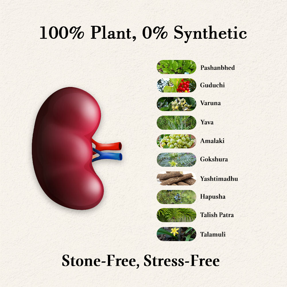 Etesto Nil for Kidney & Prostate Health