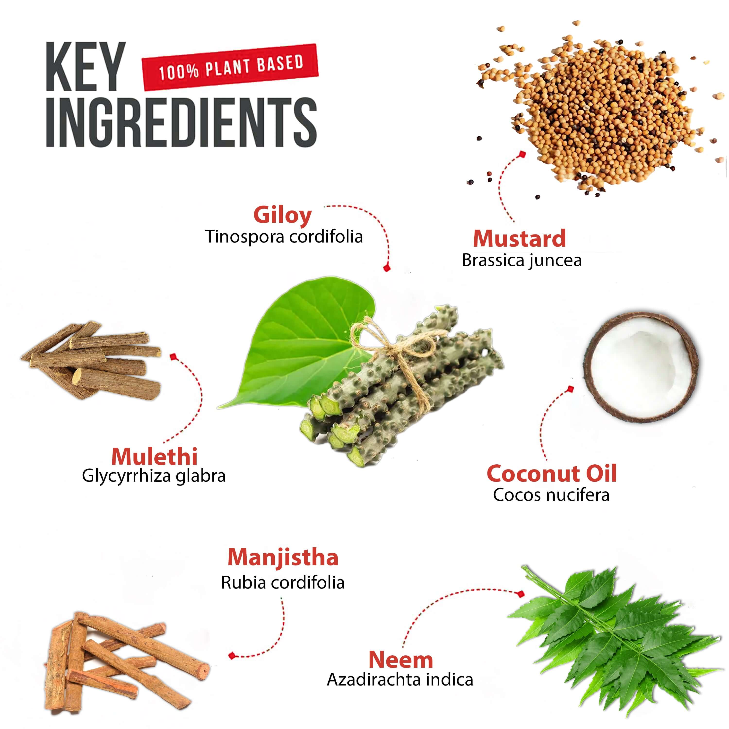  key_ingredient 