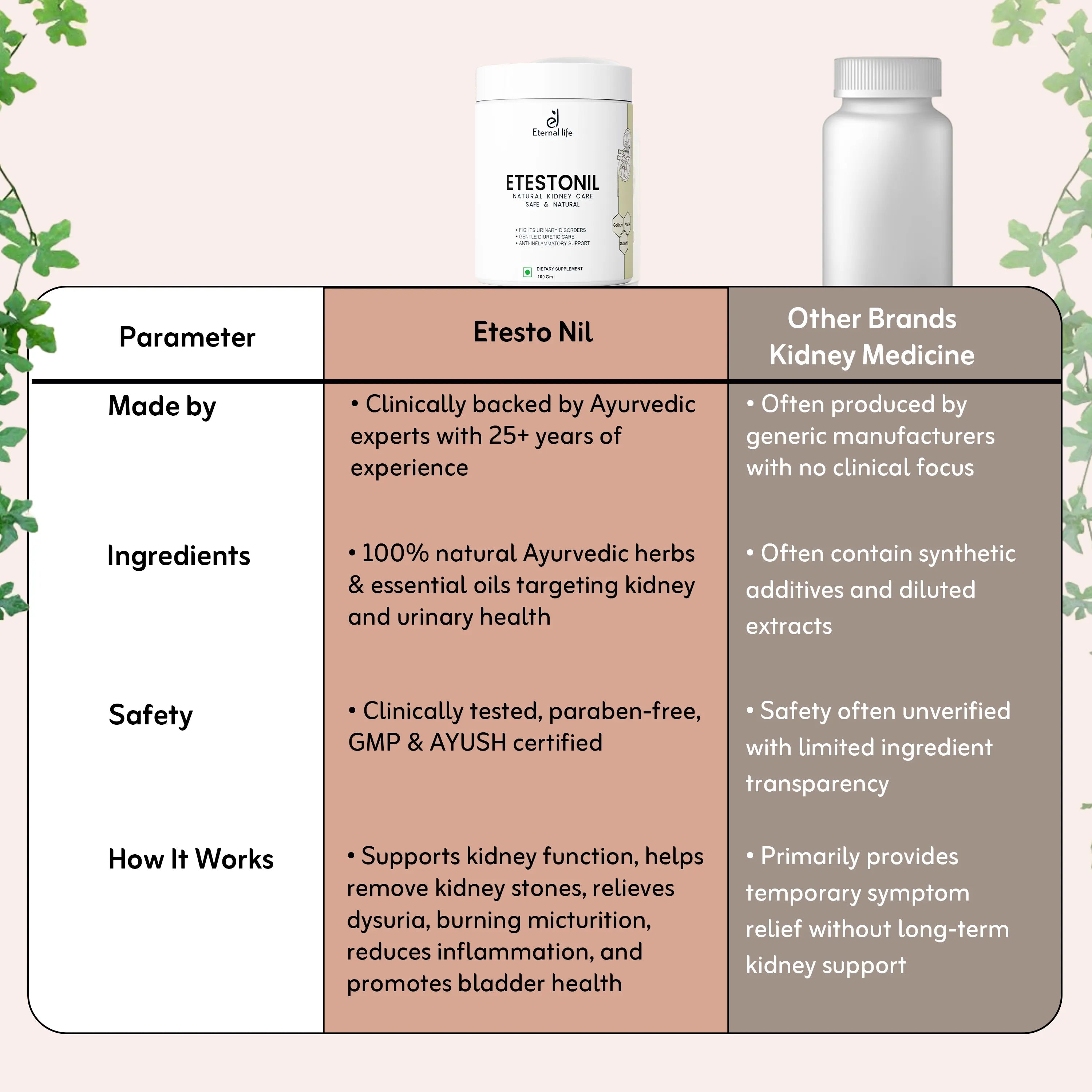 Etesto Nil  Powder – Relief for Kidney Stones & Kidney Function (100 GM)