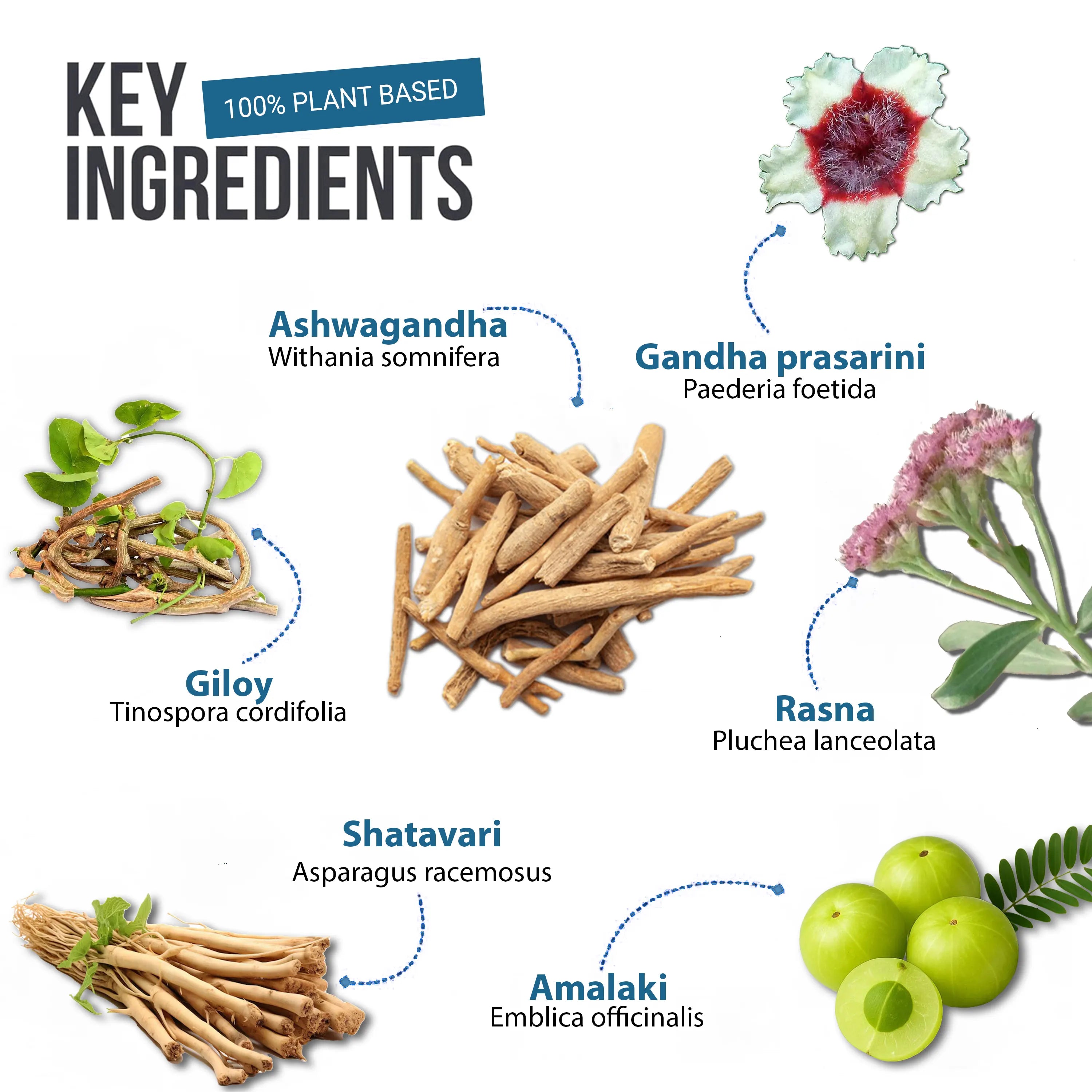 Sleep Nectar for Stress-For Restful Sleep (100 GM)